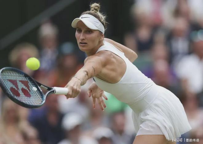 哈兰德的绝 哈兰德的绝