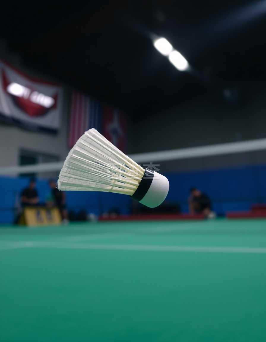 锋线阵容 锋线阵容