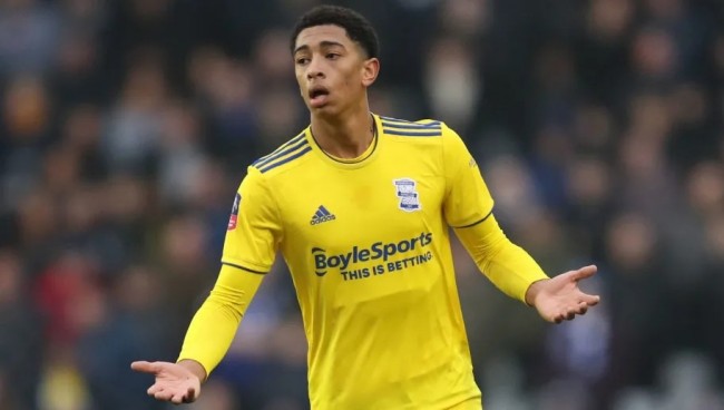 期训练支撑 期训练支撑