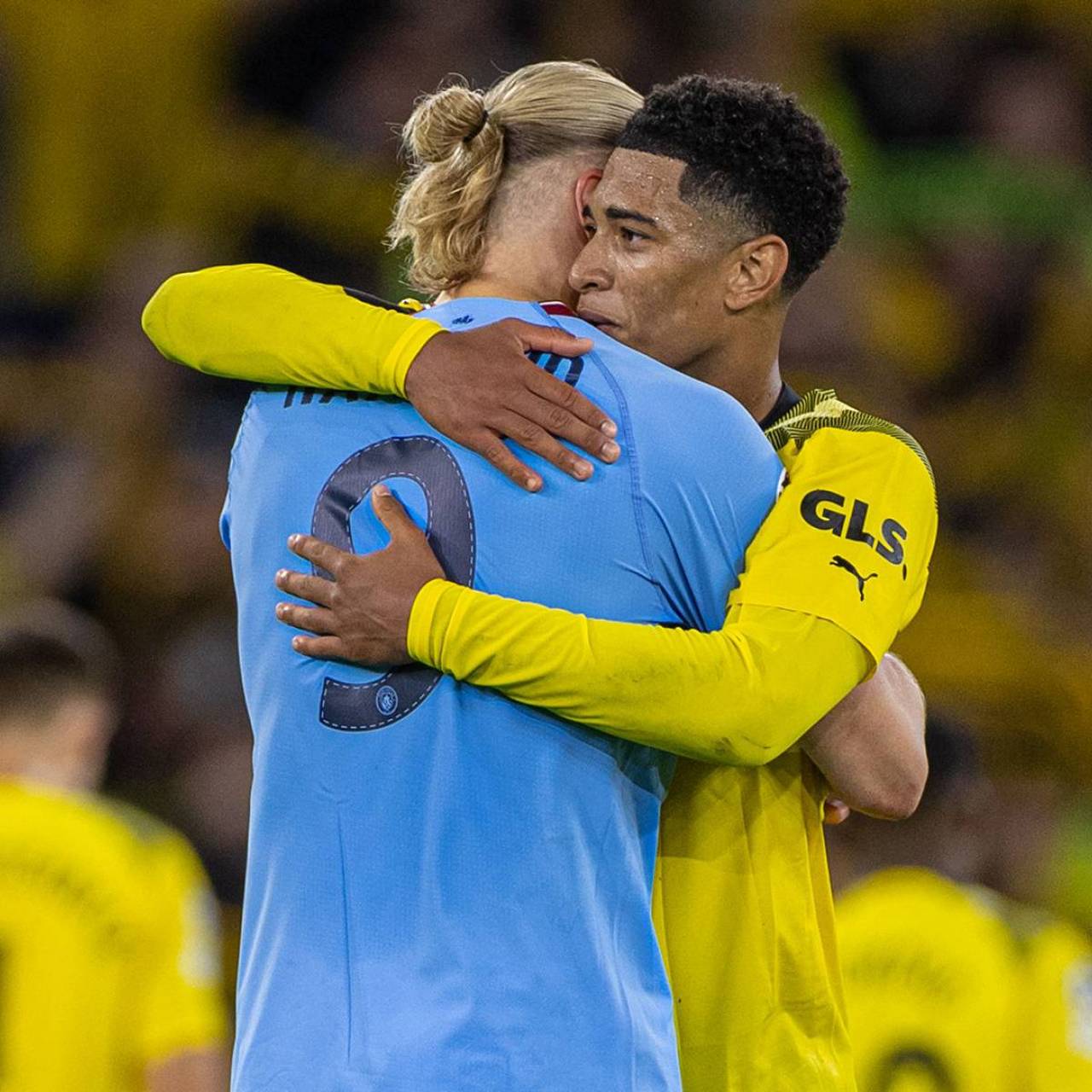 加特纳相互 加特纳相互